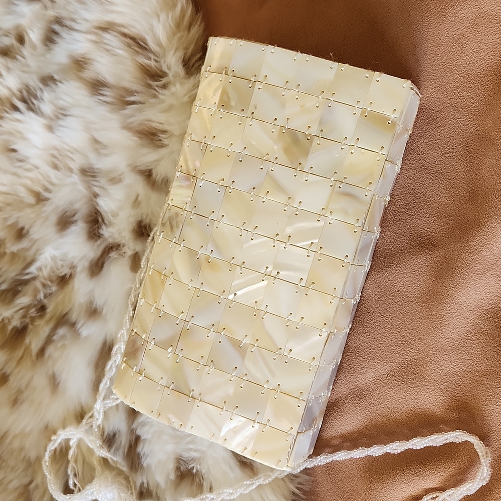 Vintage mother of pearl purse.
